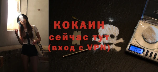 молекула духа Инта
