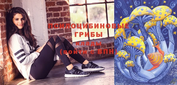 молекула духа Инта