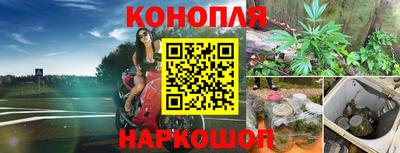прущий лед Гусь-Хрустальный
