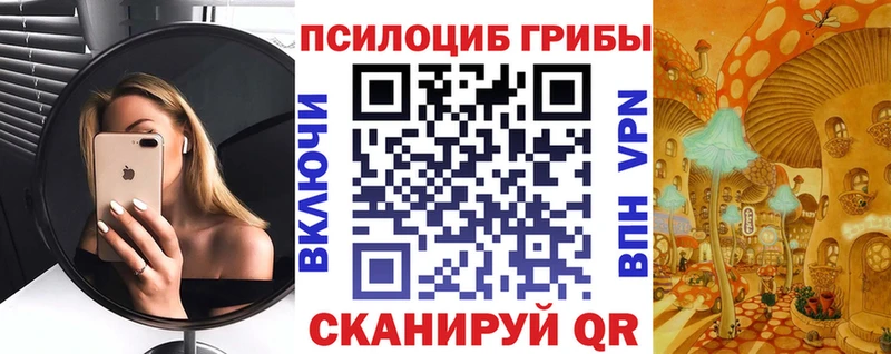 где найти наркотики  Камень-на-Оби  Галлюциногенные грибы прущие грибы 