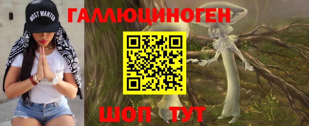 что такое   Вход с VPN  Камень-на-Оби  Галлюциногенные грибы прущие грибы 